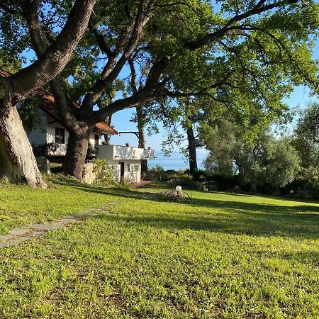Wild Oaks Cottage Kriopigi Dış mekan fotoğraf