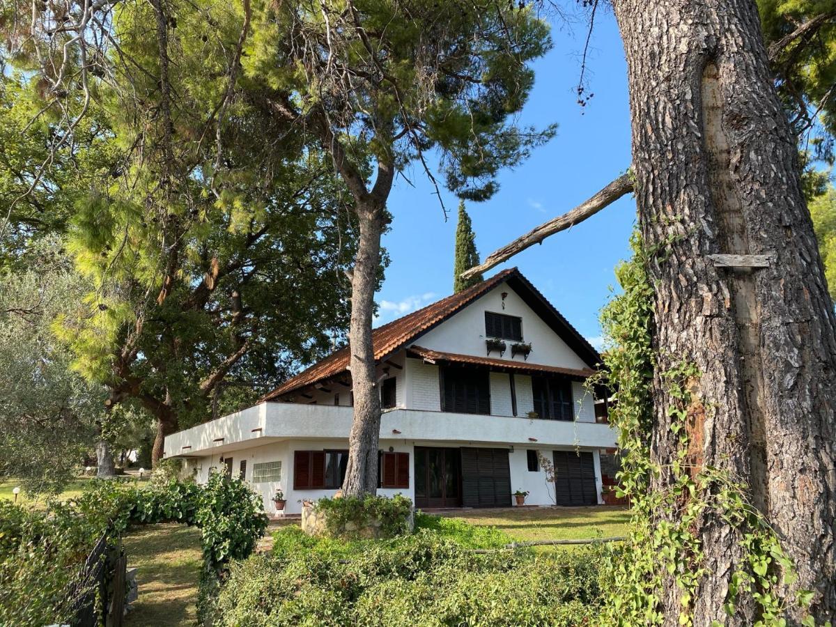 Wild Oaks Cottage Kriopigi Dış mekan fotoğraf