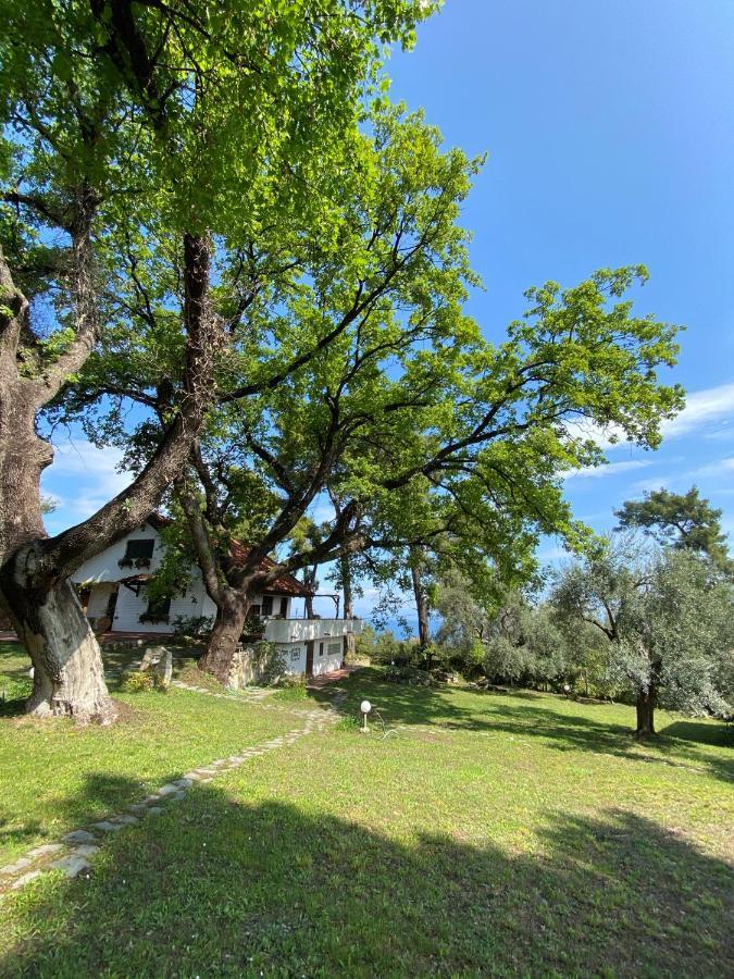 Wild Oaks Cottage Kriopigi Dış mekan fotoğraf