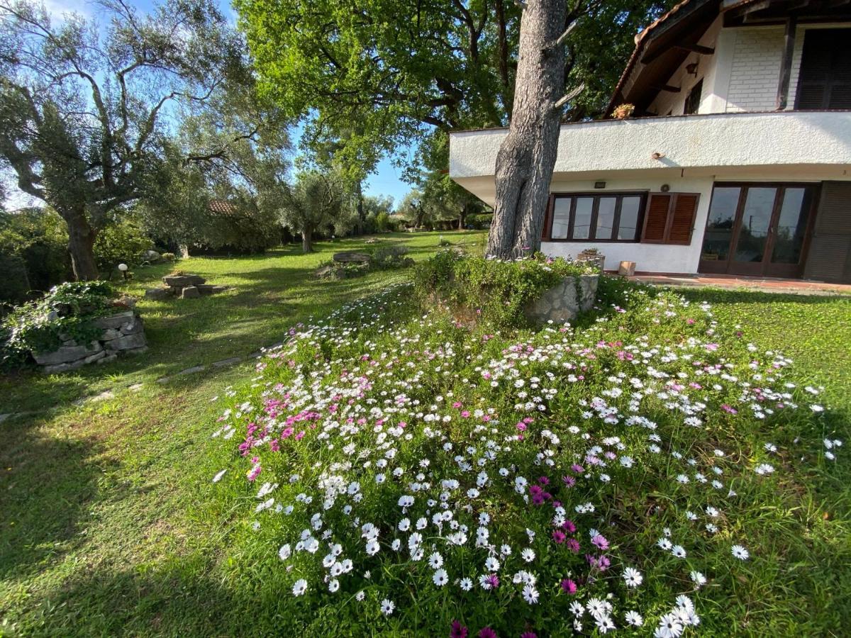 Wild Oaks Cottage Kriopigi Dış mekan fotoğraf