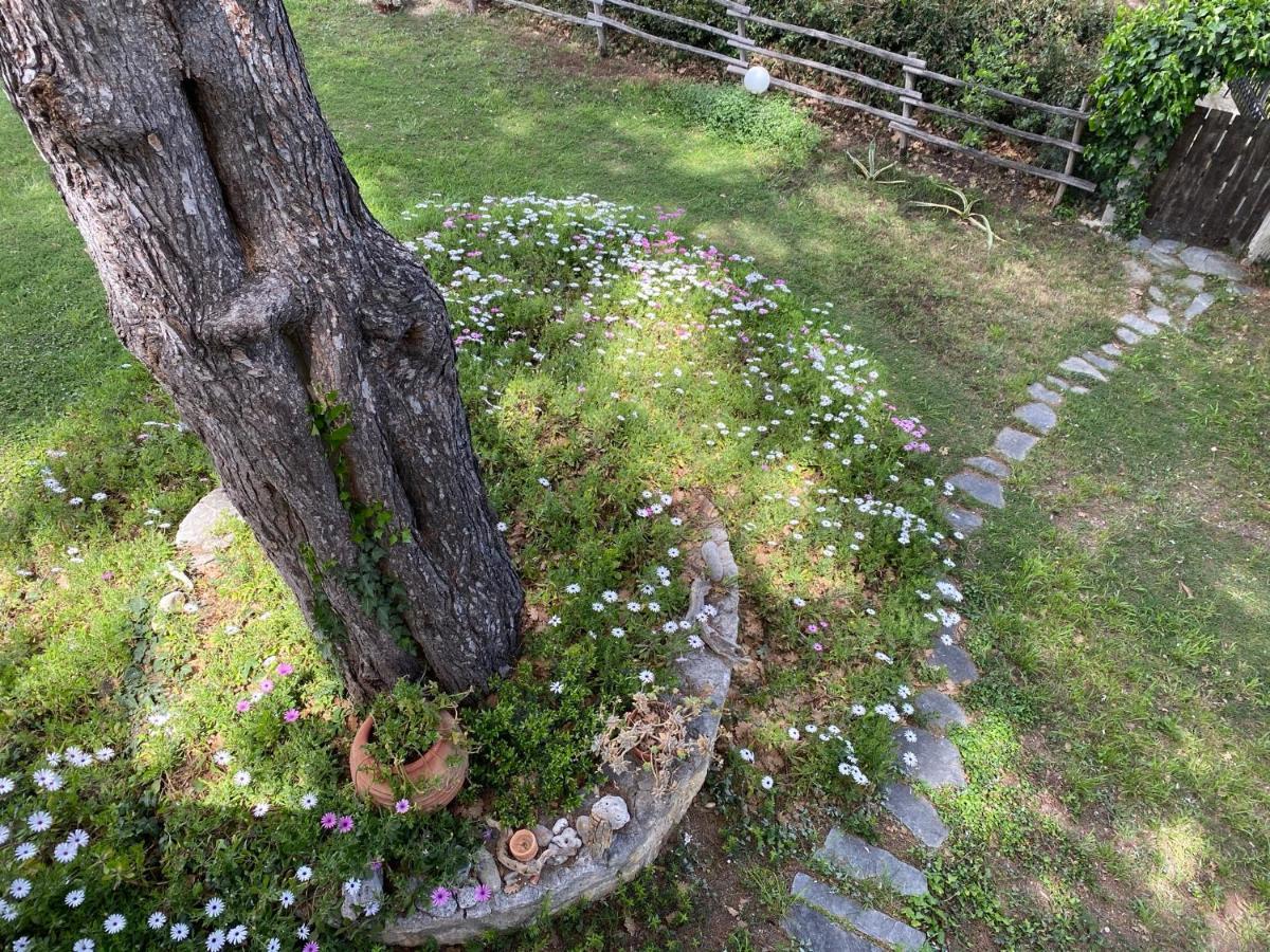 Wild Oaks Cottage Kriopigi Dış mekan fotoğraf