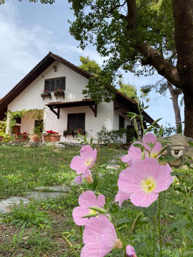 Wild Oaks Cottage Kriopigi Dış mekan fotoğraf