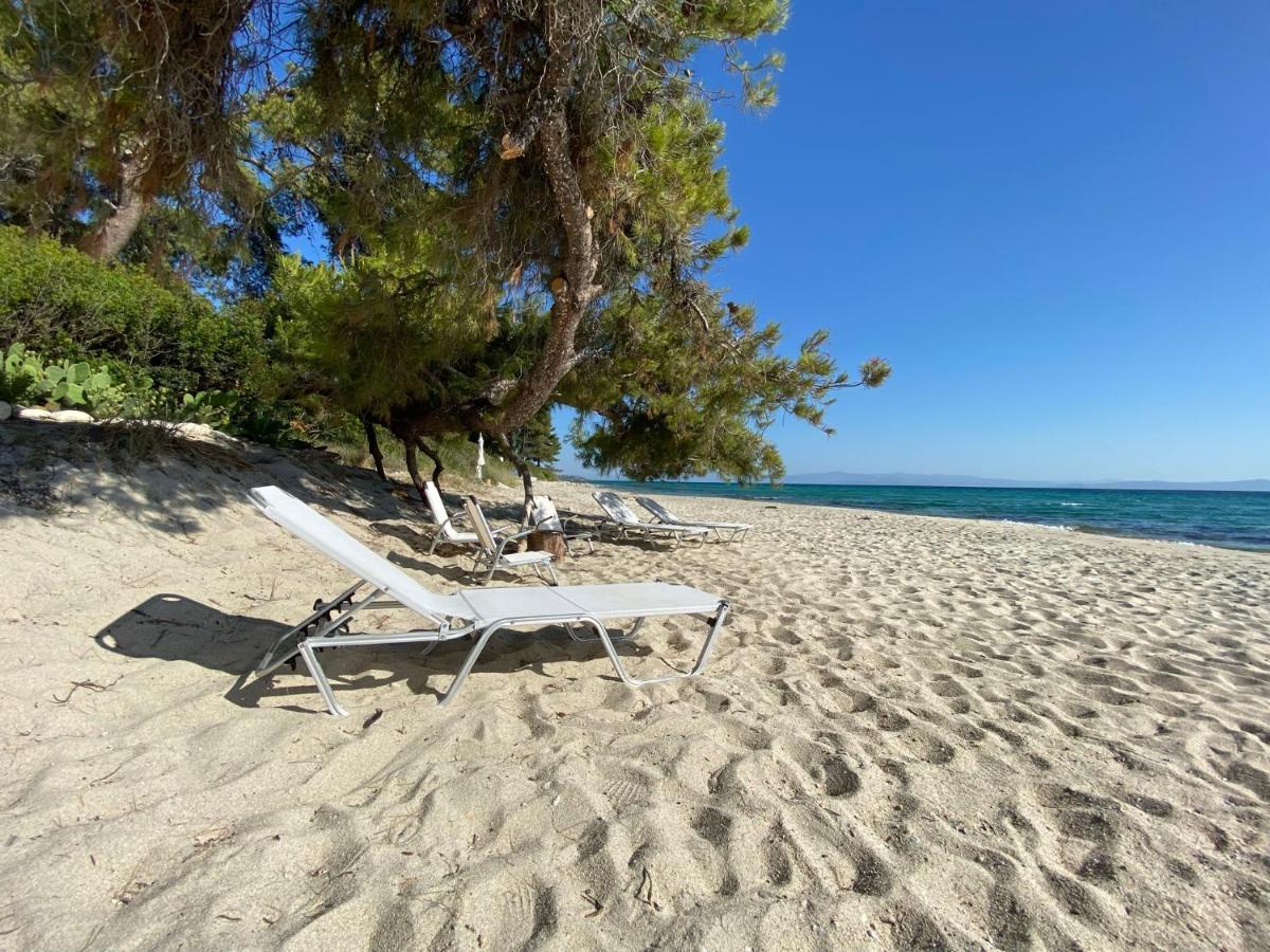 Wild Oaks Cottage Kriopigi Dış mekan fotoğraf