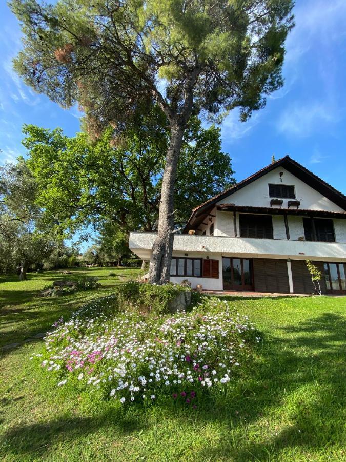 Wild Oaks Cottage Kriopigi Dış mekan fotoğraf